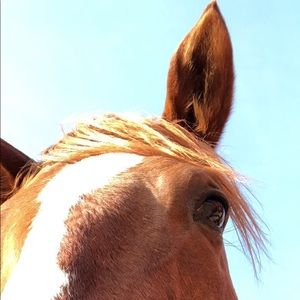 Meet your Posher, Madi